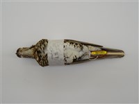 藏品(虎鶇)的圖片